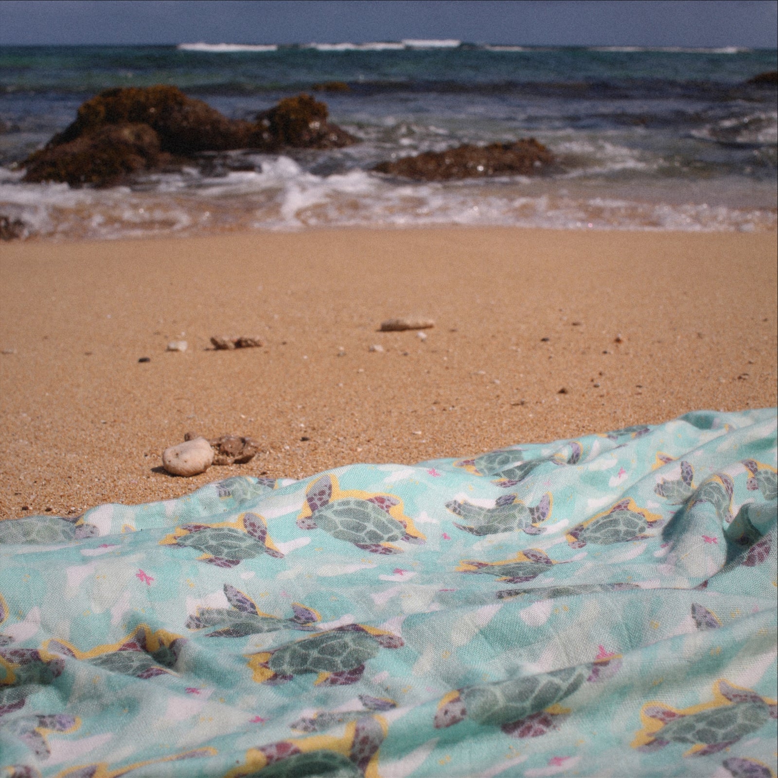 Hawai‘i is Home Collection